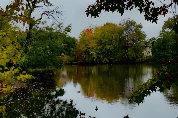 Brookdale Echelon Lake