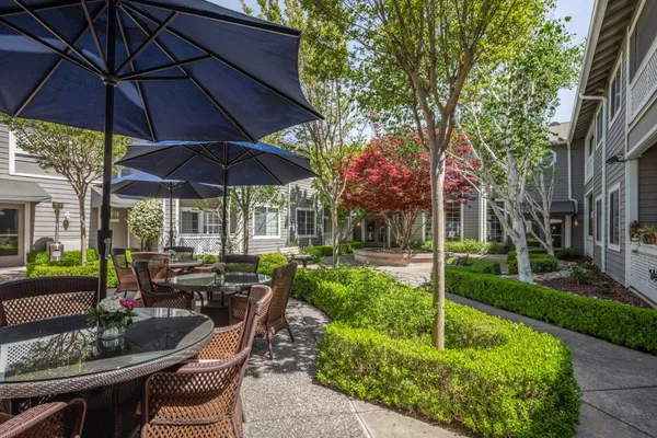 Ivy Park at San Ramon