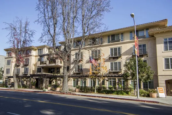 Ivy Park at Studio City