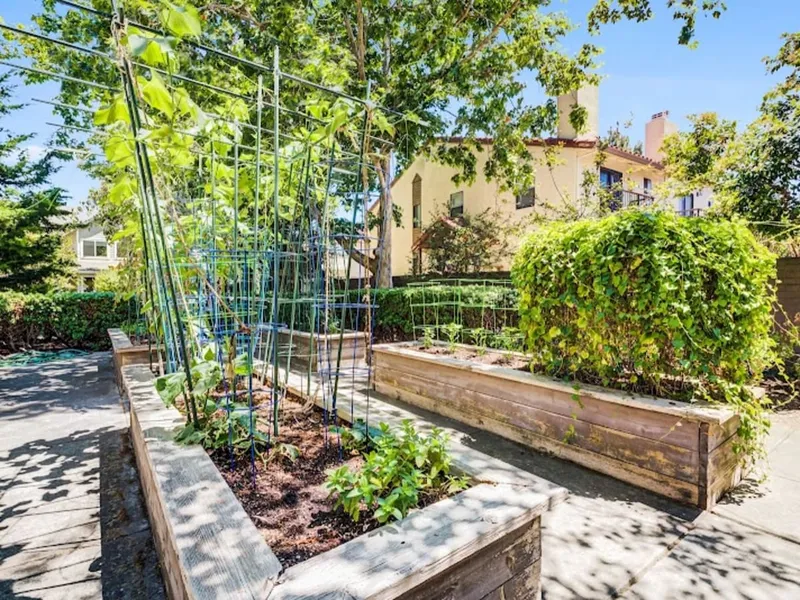 Aegis Gardens (Fremont, CA) photo 7