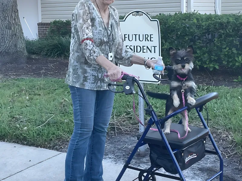 Ansley Parke At Oakbridge photo 6