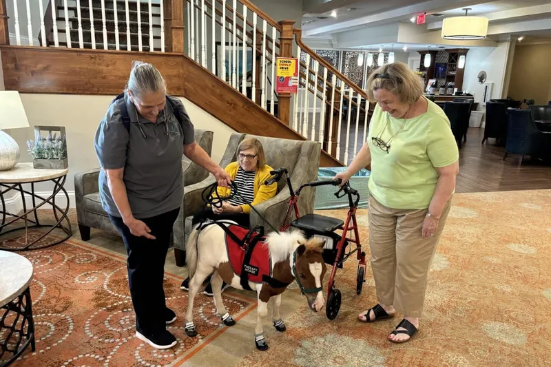 Arbor Terrace South Forsyth photo 9