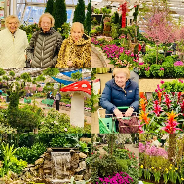 Atria Glen Cove photo 8