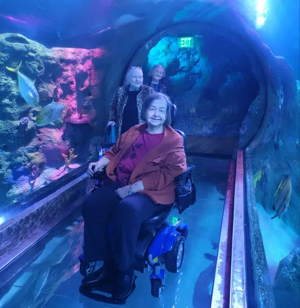 Atria Grapevine photo 6