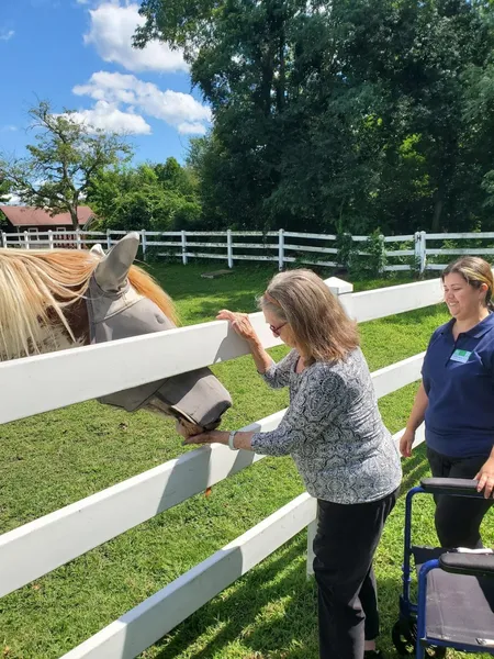 Atria Harborhill photo 4