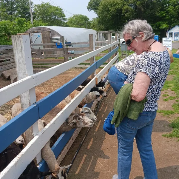 Atria Harborhill photo 6