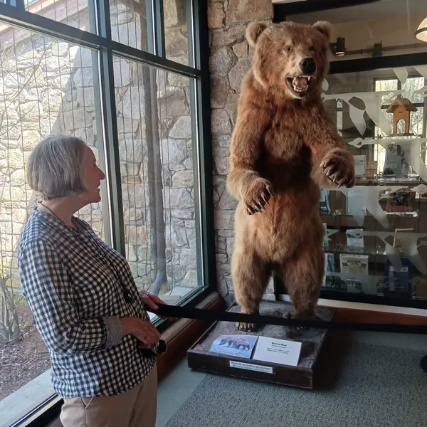 Atria Harborhill photo 7