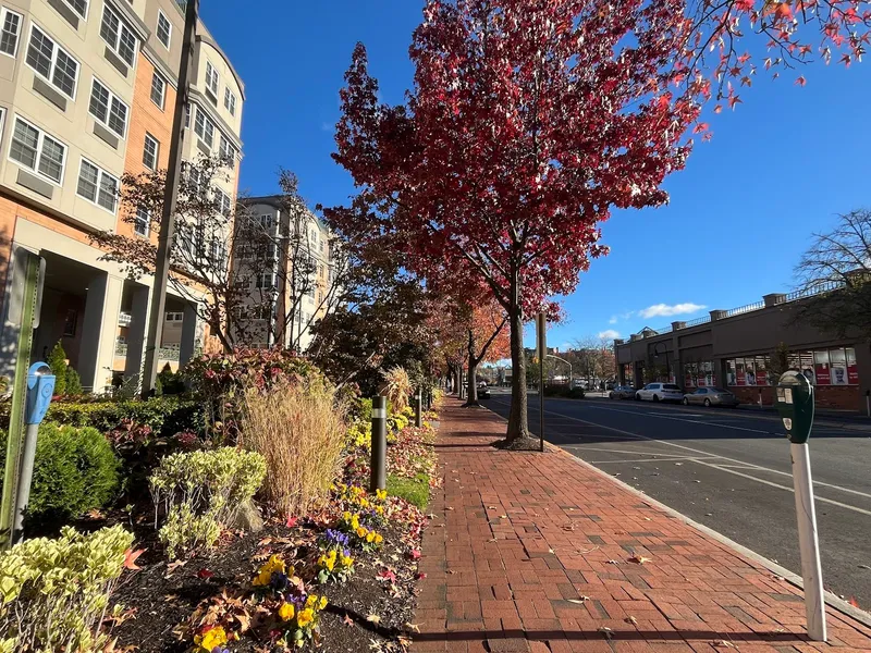 Atria Park of Great Neck photo 7