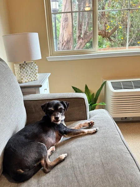 Atria Park of Lafayette photo 9