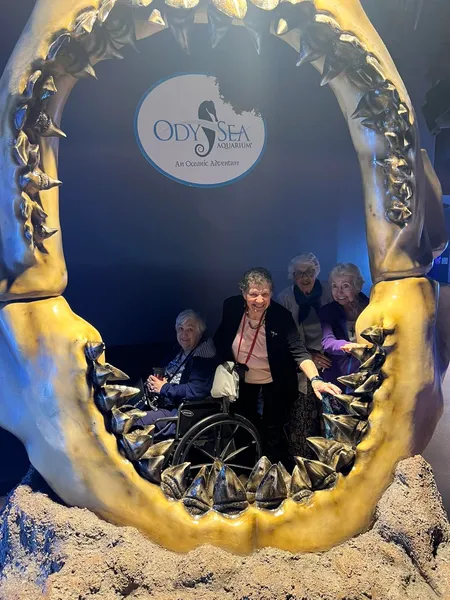 Atria Park of Sierra Pointe photo 7