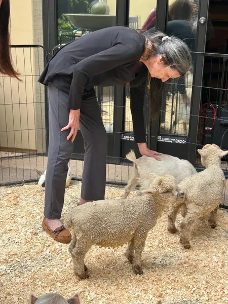 Atria San Juan photo 8