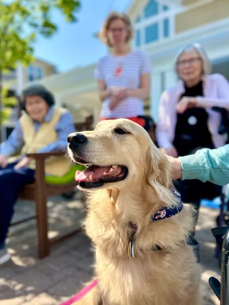 Atria Southpoint Walk photo 8