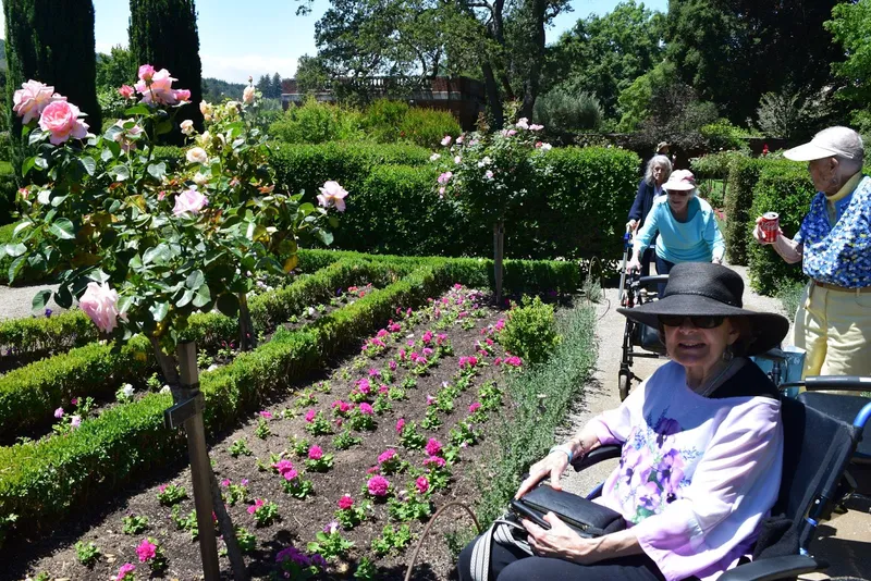 Atria Walnut Creek photo 9