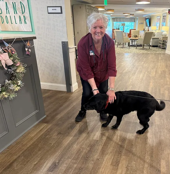 Atria Woodbriar Park photo 8