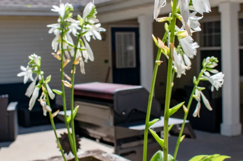 Austin Memory Care – 14th St. photo 9