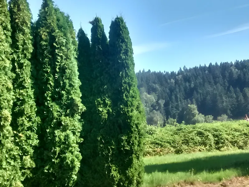 Avista Assisted Living Sumner photo 6