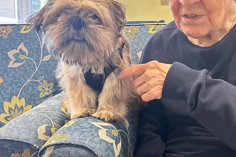 Avita of Stroudwater photo 9