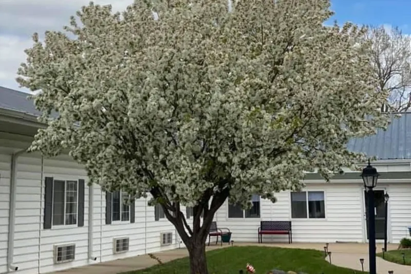 Bailey Pointe Assisted Living at Plattsmouth photo 10