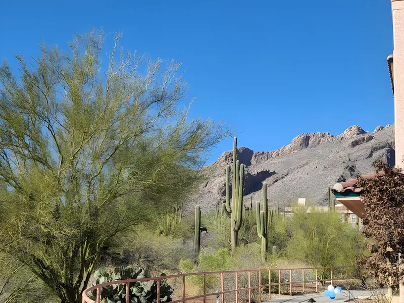 Brookdale at Home Santa Catalina photo 8