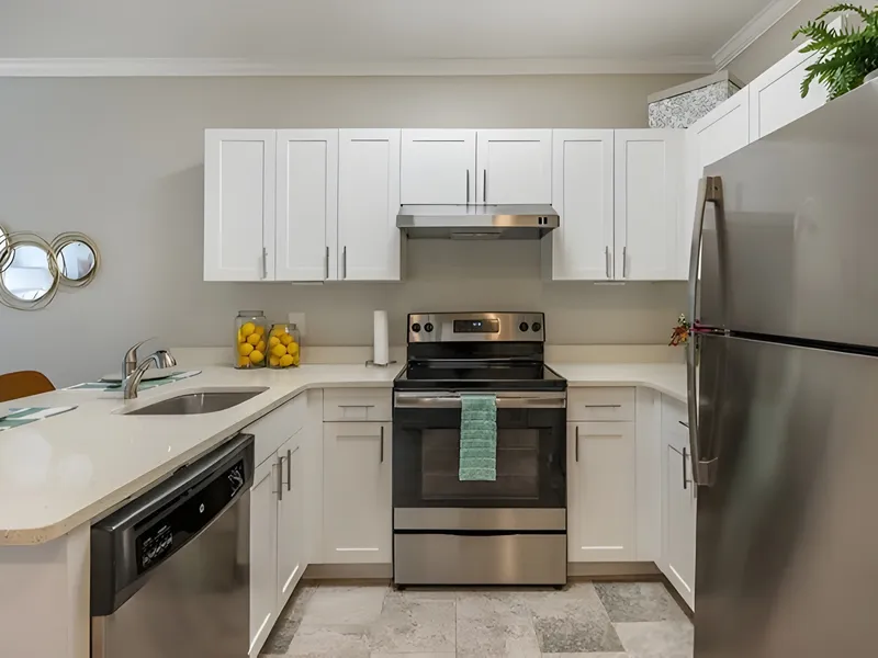 Brookdale Chatfield photo 3