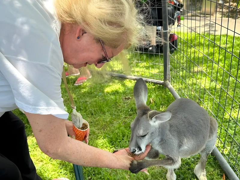 Brookdale Clear Lake photo 3