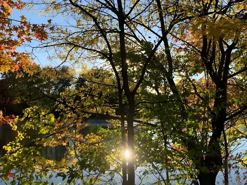 Brookdale Echelon Lake photo 4