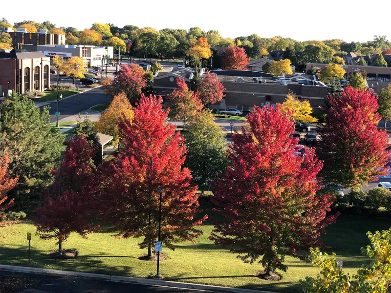 Brookdale Glen Ellyn