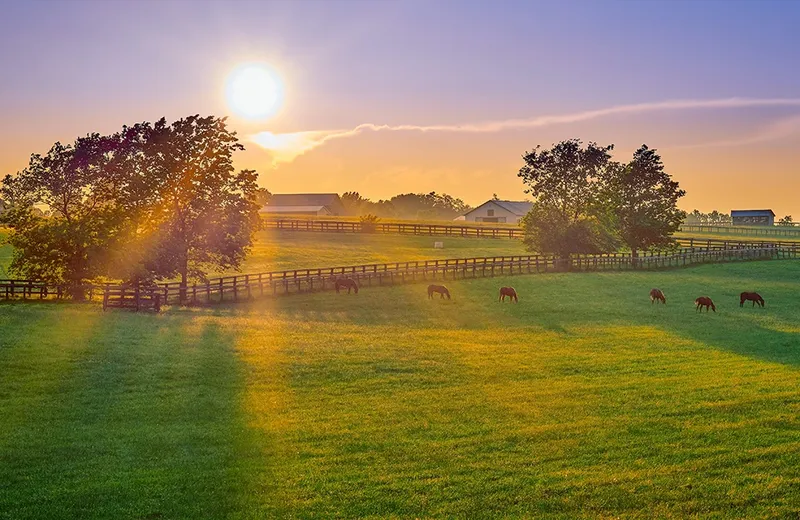 Brookdale Murray - Assisted Living in Murray, Kentucky