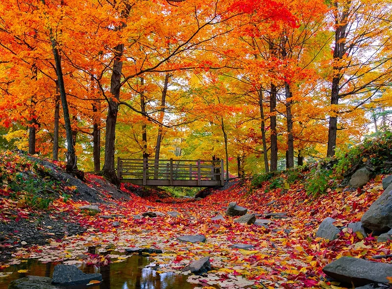 Brookdale Wilton - Assisted Living, Memory Care in Wilton, Connecticut
