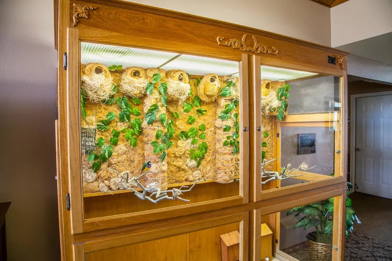 Brookstone Estates of Mattoon South photo 6