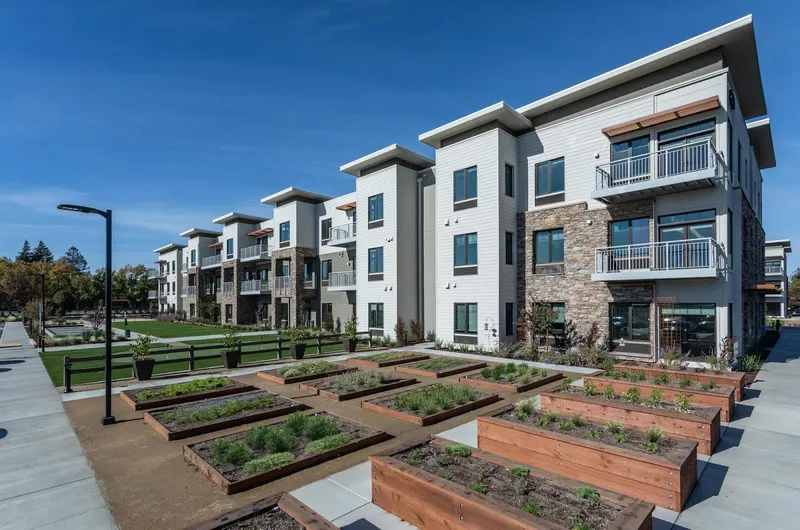 Calligraphy Napa Valley photo 4