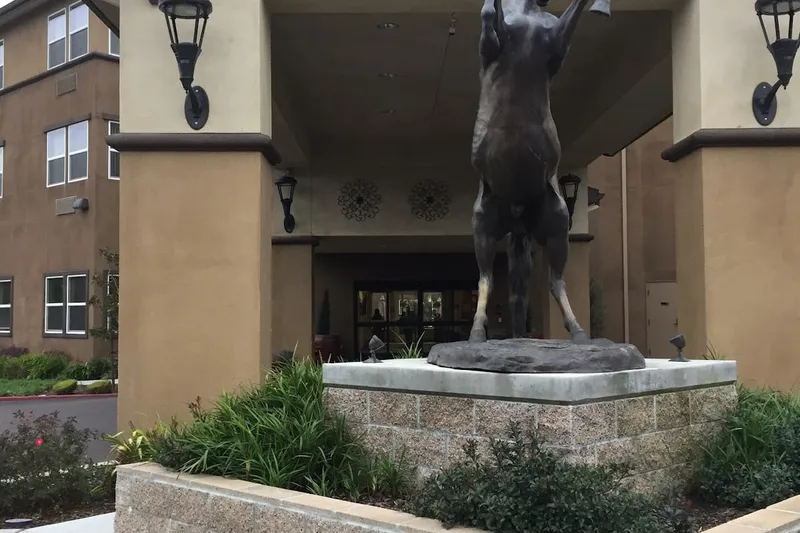 Carlton Davis photo 6