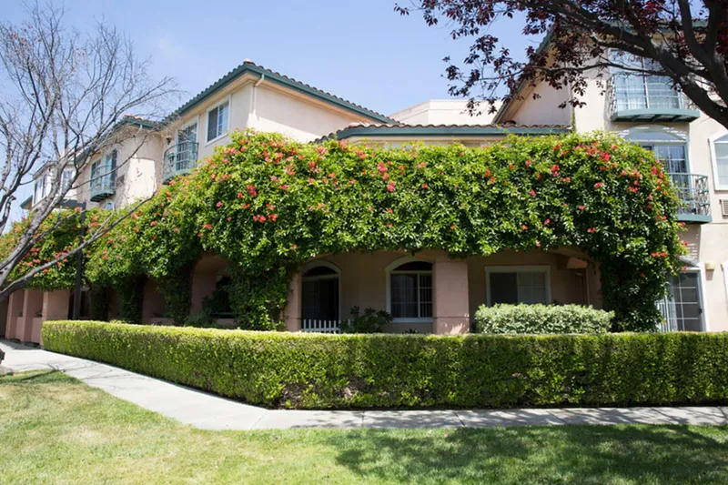 Carlton Fremont photo 4