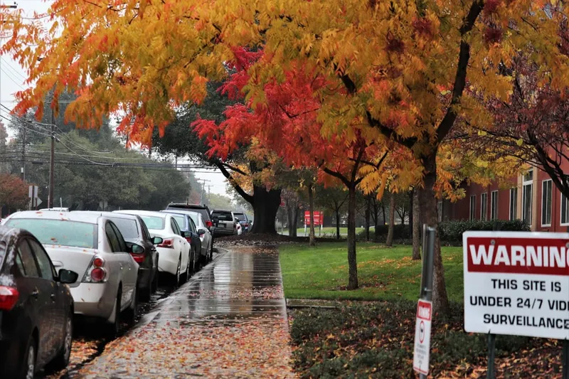 Carlton Sacramento photo 10