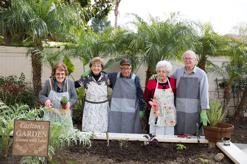 Carlton San Jose photo 4