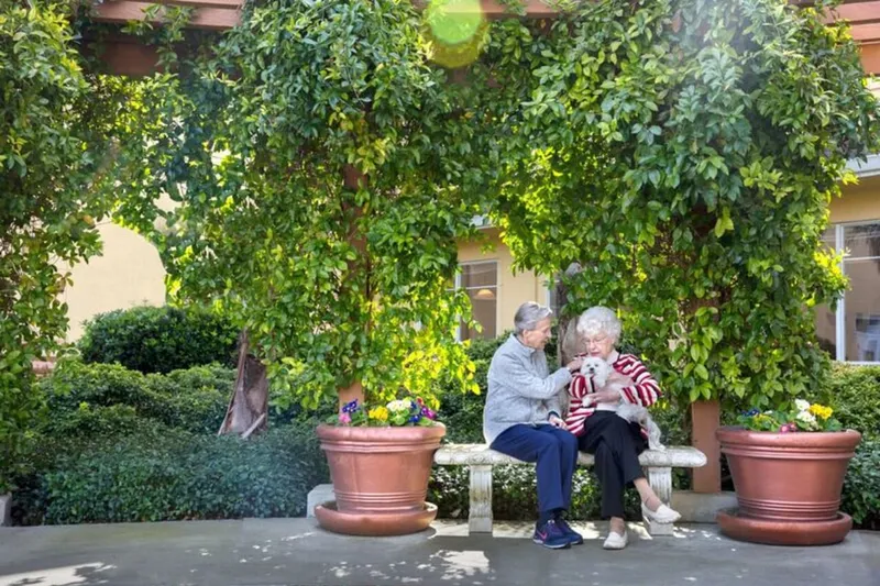 Carlton San Jose photo 8