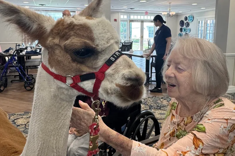 Charter Senior Living of Danvers photo 10