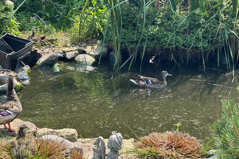 Charter Senior Living of Moline photo 2