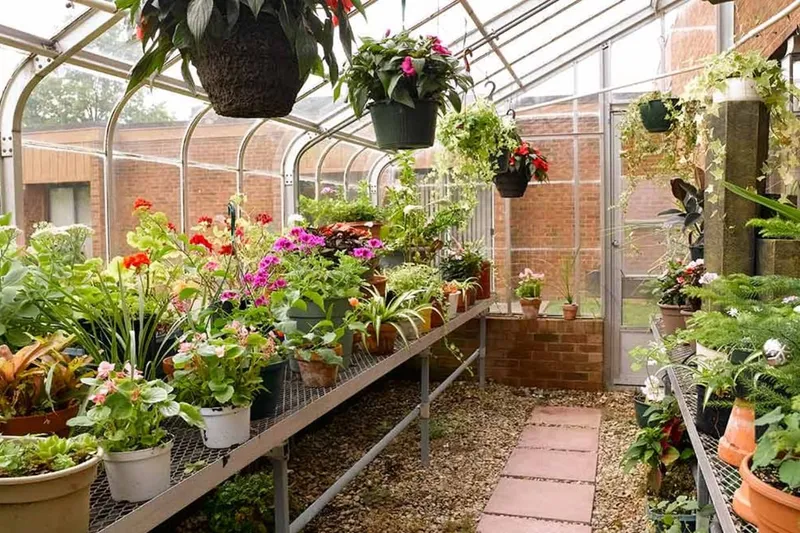 Northgate Park Senior Living photo 2