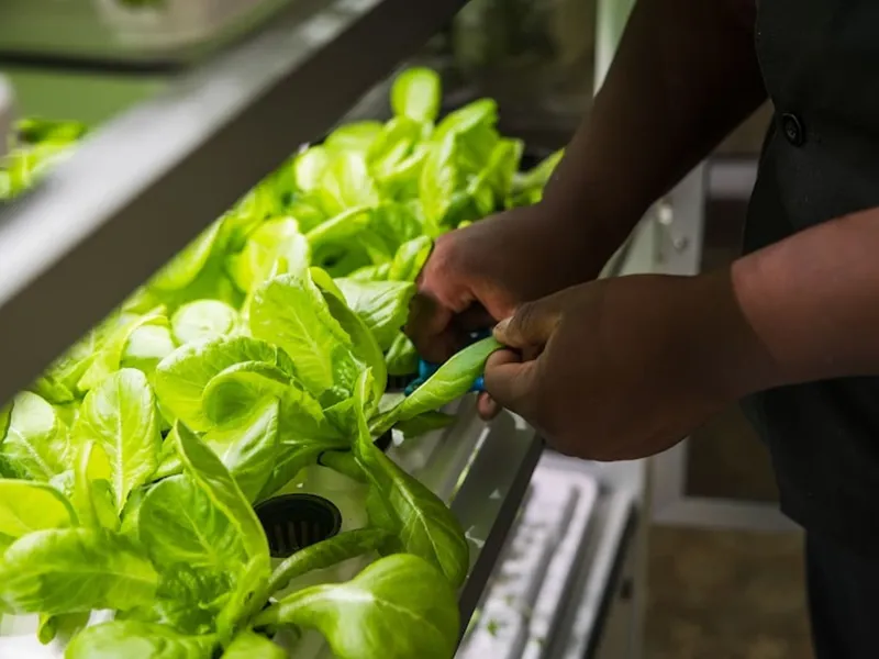 Commonwealth Senior Living at Willow Grove photo 5