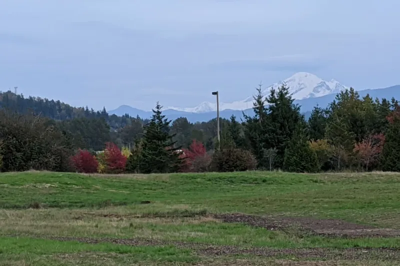 Cordata Court photo 10