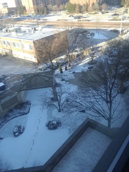 Discovery Village Des Plaines photo 3