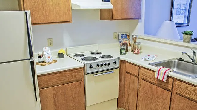 Discovery Village Farmington photo 6