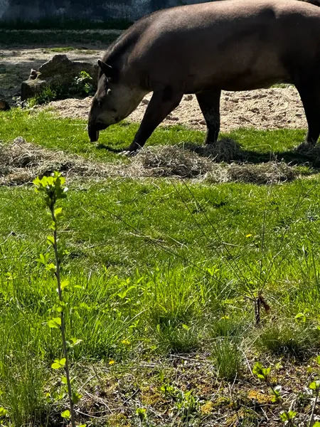 Discovery Village Hoffman Estates photo 8