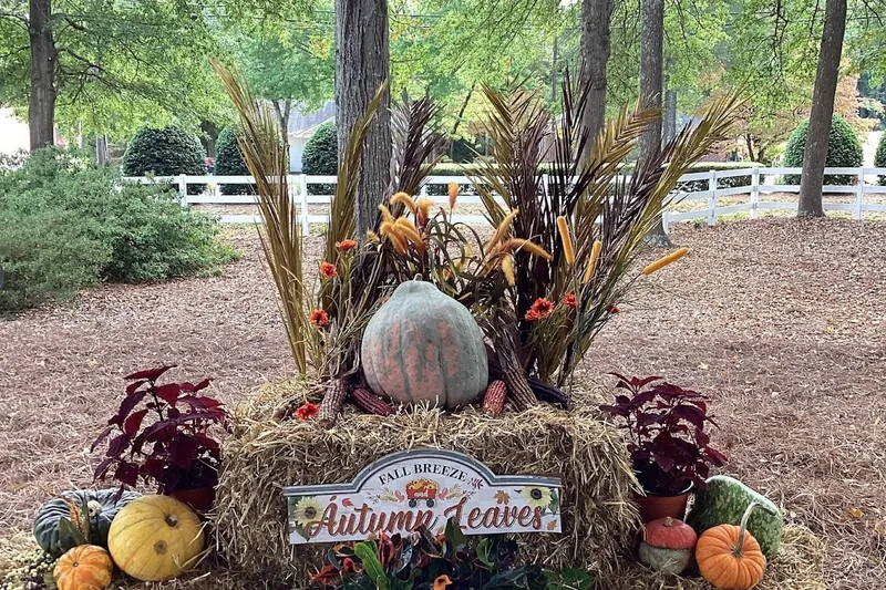 Eden Terrace of Spartanburg photo 7