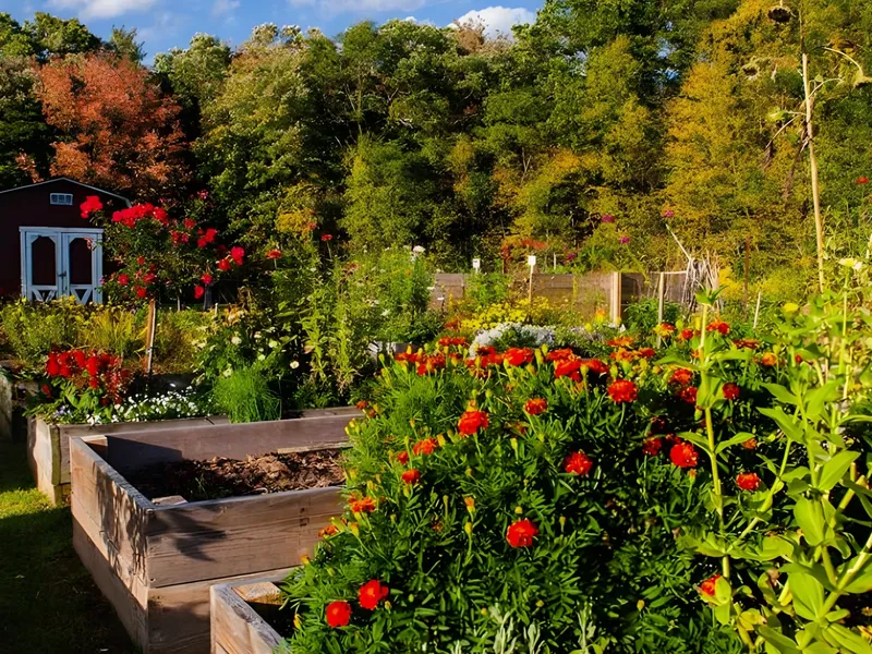 Essex Meadows photo 5