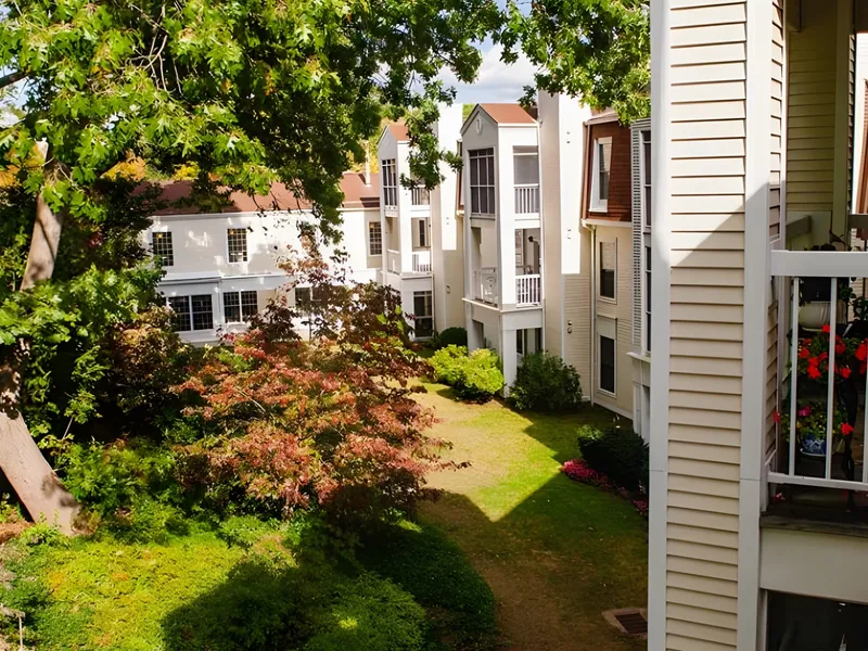 Essex Meadows photo 6