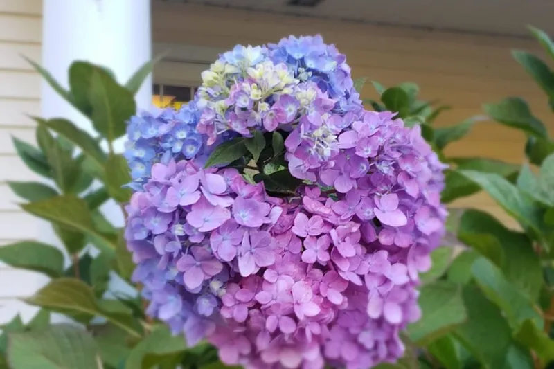 HarborChase of Branford photo 5