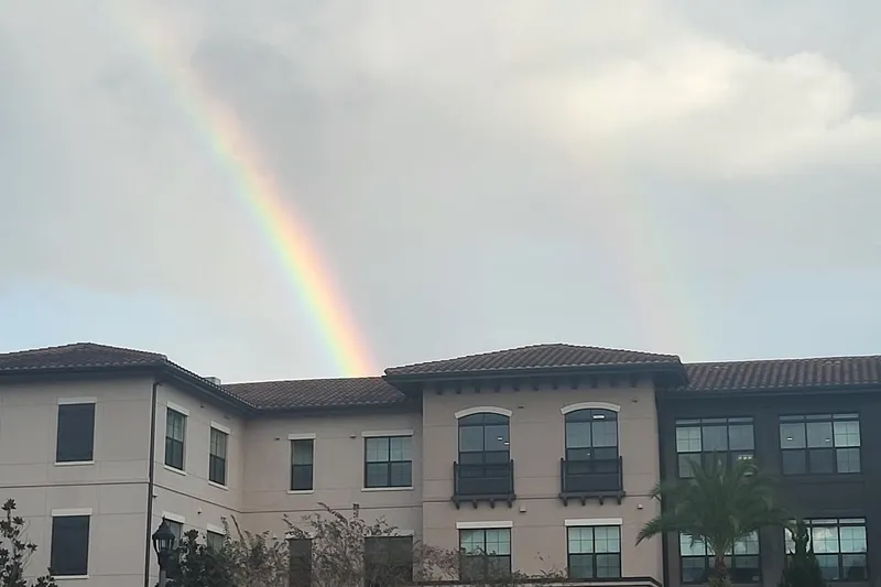 HarborChase of Dr. Phillips photo 5