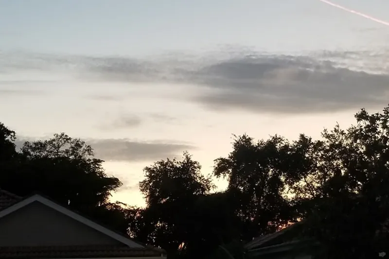 HarborChase of Sarasota photo 6